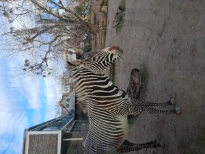 ������, ��������� !