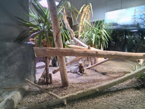 �� �������