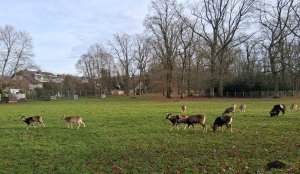 ������ ���-����� ������������.