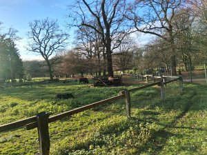  ��� ������ ��������?