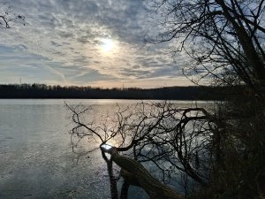 � �����, ��� ��.