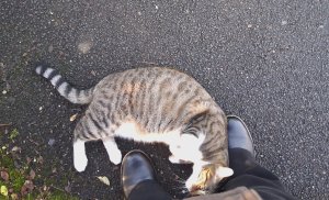 �� �������� ���� ��������� ����� ...