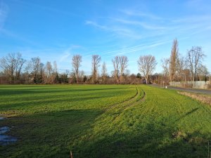  ��� ������ ��������?