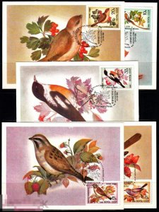 ������ ������������� ����