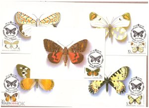 ���������. �����. ��������. �������������