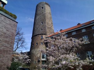 ������ ���� ������, ������� � ���� ��� ����� � ������� �������������� �����. � ��������� ���� ������� � ���� ��� �����, �������� ���� ������� ������ ������ ���� �� ���������� ��������������� ������������ �����������(� ���������� ������������� ������� �������). � ����� ����� ���������  �� ����������� ������������ �����������, � ���������� ���������� �� �������.