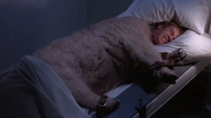 ���� � ����������