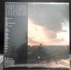 ��� �����