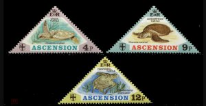 ���������� ������� ��� ��� �� ���� ����