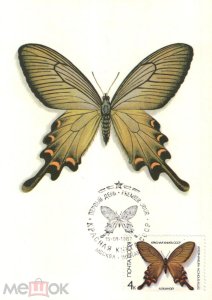 ��� ������������