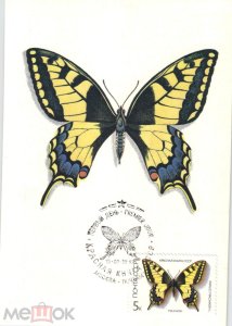 ���������. �����. ��������. �������������