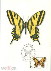 ���������. �����. ��������. �������������