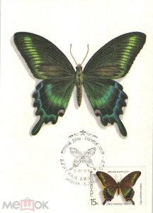 ���������. �����. ��������. �������������