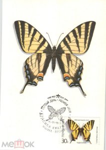 ���������. �����. ��������. �������������