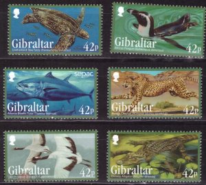 �� � ������ ���������� ���� � ���������� ��� ������)))))))))