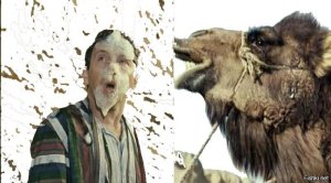 - ����� �� ��������? - ���, � �� ��������, � �������! ..... !  