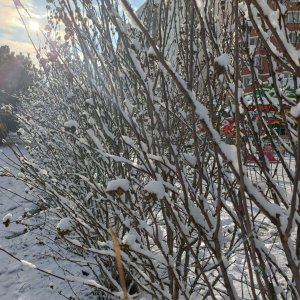 -2. ������� �� -5. ������ �������.