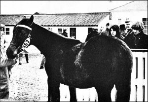 �� ������� �� ����� �����.