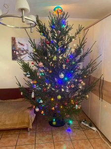 � �����������!