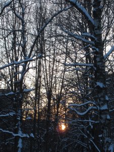 ������ ����� �����.