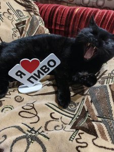 ��������������� �������.