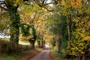 A Cotswold lane, Upper Swell, Gloucestershire by Andrew S Brown