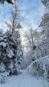 �������...