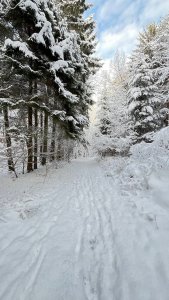 �������� �� ����