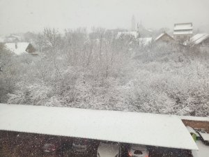 ������ ������ ������������� � ��� ������ :)) ������� 4 ������. ������ ��� �� ��� ���� �����.