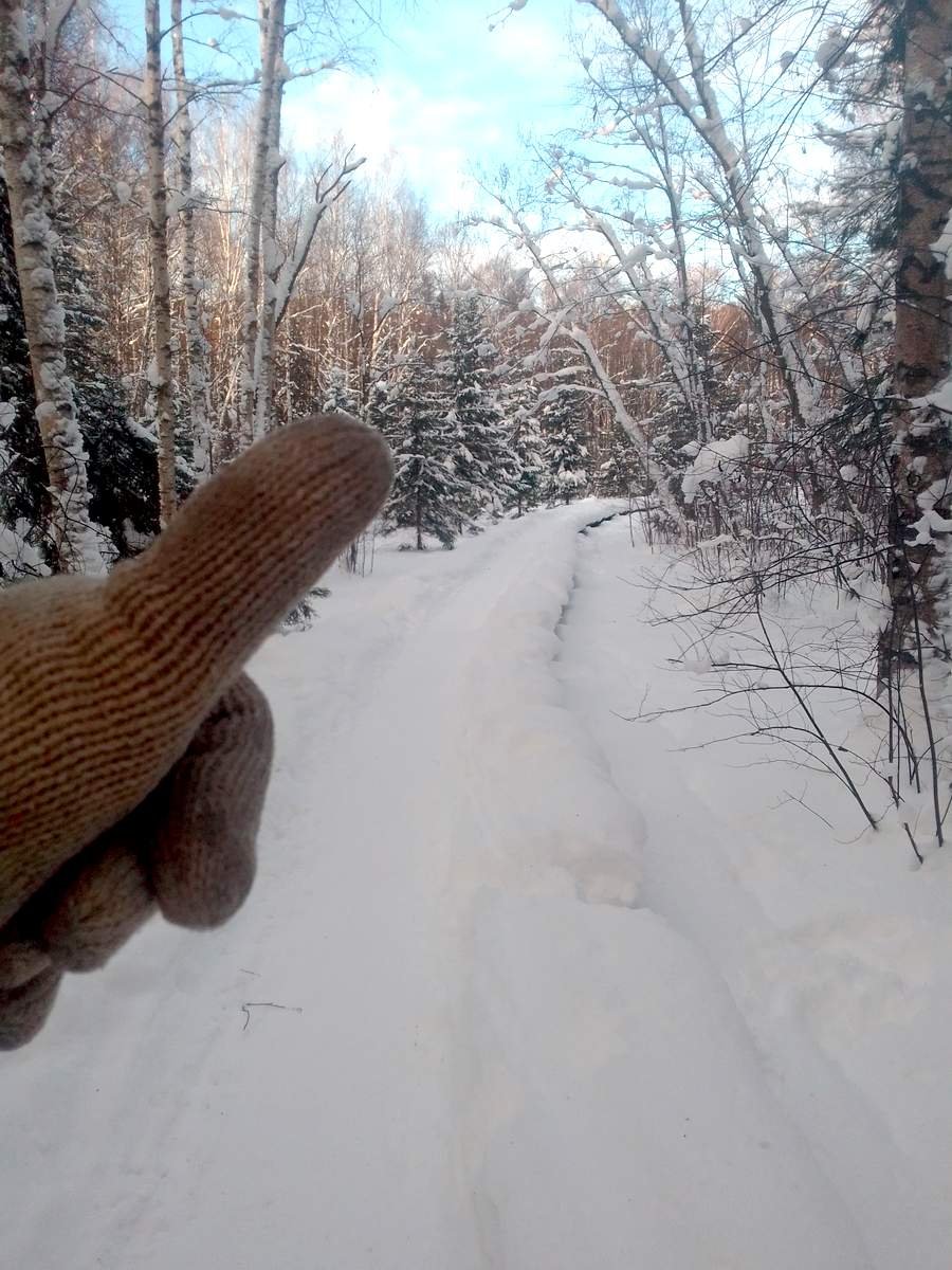 ��� ������ ��������?