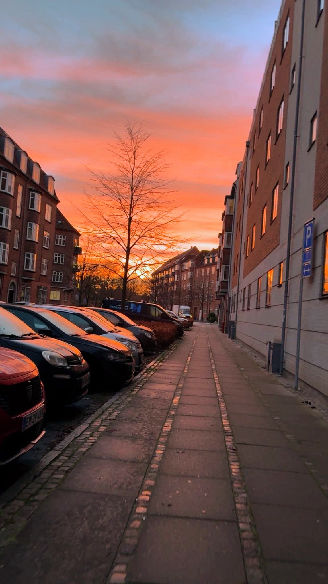 ��� ������ ��������?