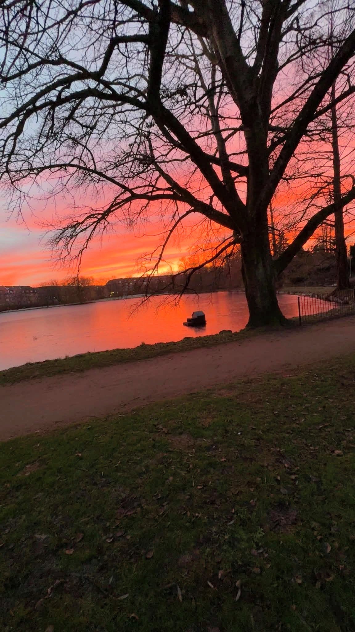 ��� ������ ��������?