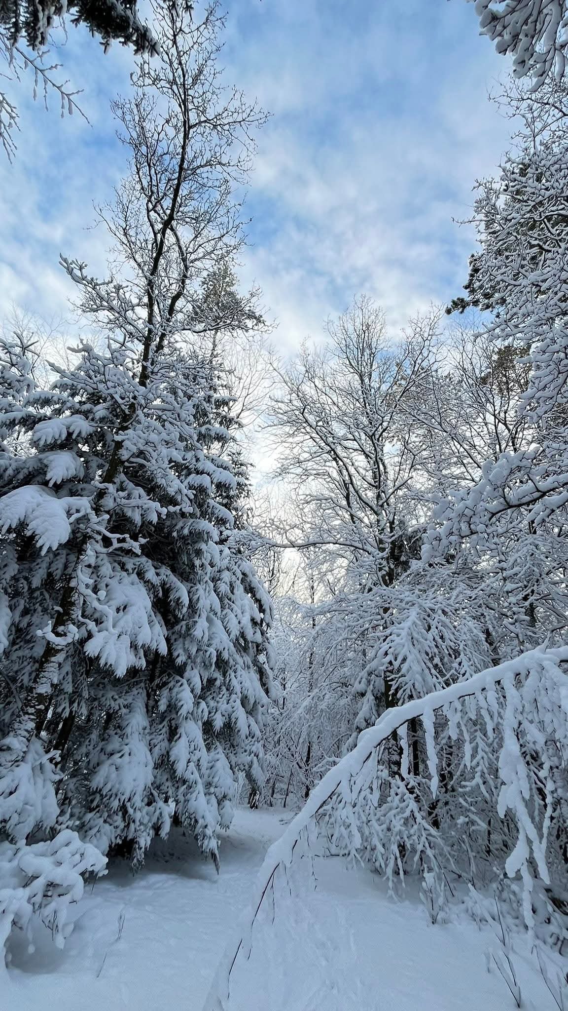 ��� ������ ��������?