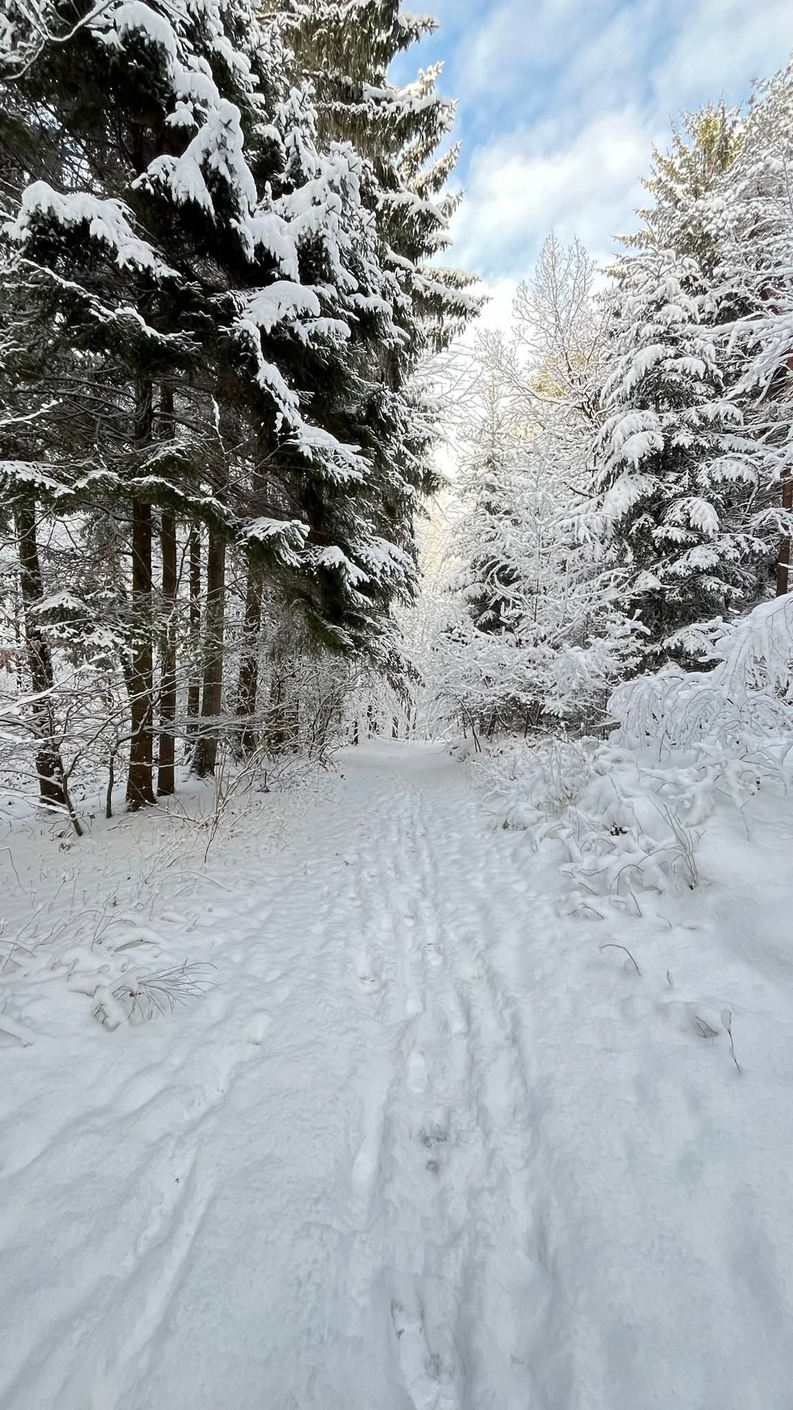 ��� ������ ��������?