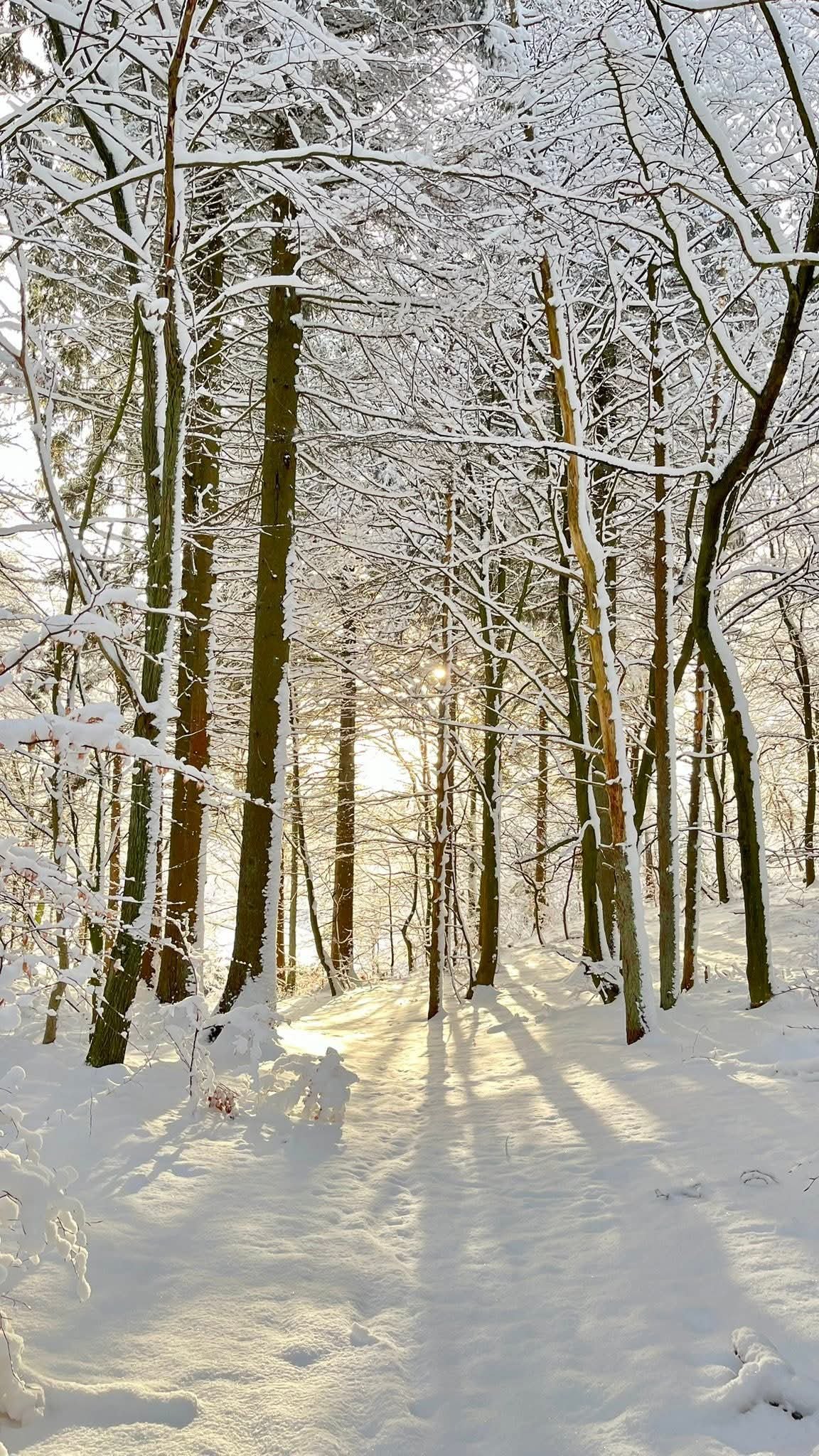 ��� ������ ��������?