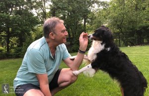 ������� ���������