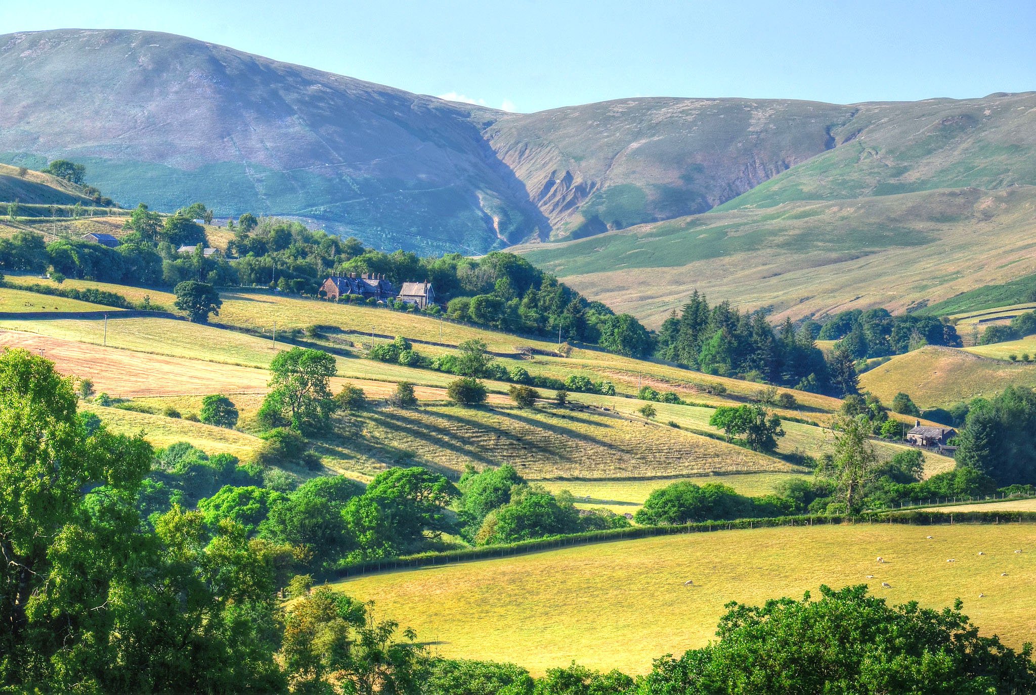 ��������������