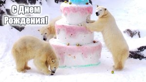 ����, ���������� � ���� ��������!