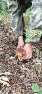 � ��� � ��� �������