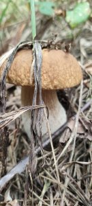 ���������. �����. ����� 2025