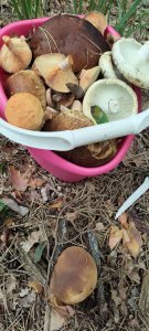 ����� ���������� �������� ������. �����, ������, ������.