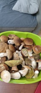 � ����� ���� �����. � ���� � ���� ���� ���� �� ����� �������. 2025-� ��� ���������� �������.