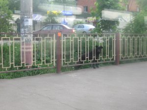 ��������� ������ ������ ���� � ����� (�)