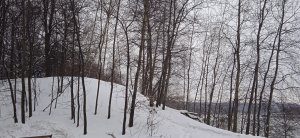 �������� ������ �� ���������� ����� ��������� ��� � ���� ��������. � ����� �������� ������ �������� ����������� ������� ����� ���������� ����� ������ ���������� �������. ����� ����, �� ��������� ����� ������, ��� �� ���� ���� ���������������� ����. ������ ������ ����� ������ ���, ��� ��������� ������� ���� ���-����� ����, ����� ��������� -  ���� ��������� �����. ��� ���, ���� ������ ����� �� � ���, � ��� ������� �������� �������� - ����� � �������� ���������-��������� � ��������� ��� ��������� ���������� ���� ��� � ������ ��� �����, �����, ����� ��� ������� ������� ����� ���� ������������� - ���� ��������. ������� ��������, ���� ���, �� ������. �������� ���� ������� �������... ��, ��.