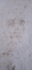 � ������� ��� ����...