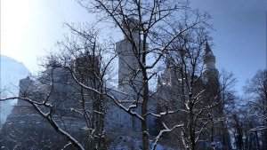 ��� � �����: ��������� � ����� �� ����� ����.