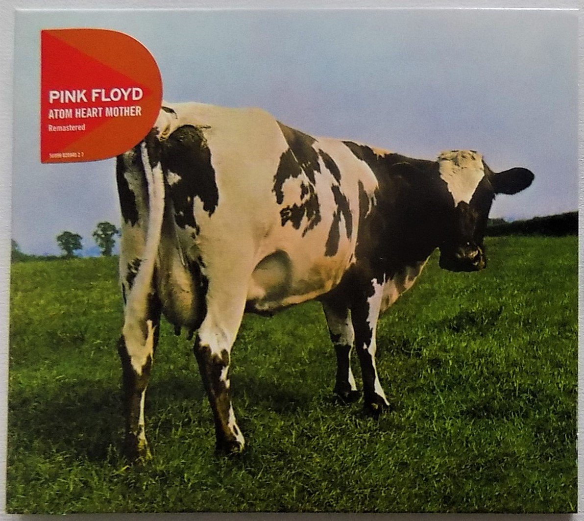 ����� ������ �������?