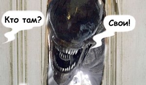 ���� � ����������