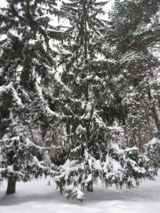 �� � �����.