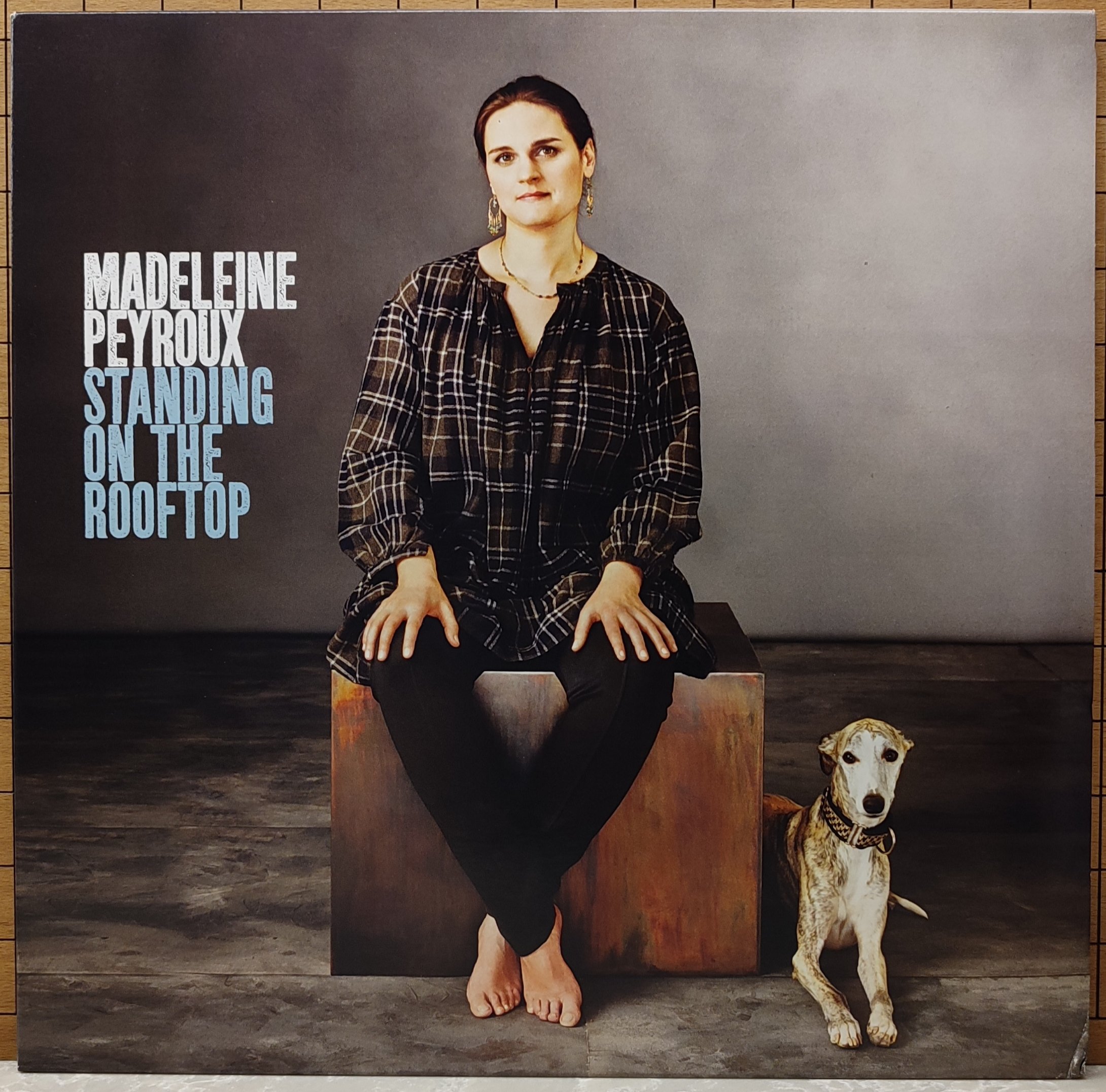 ��� �����